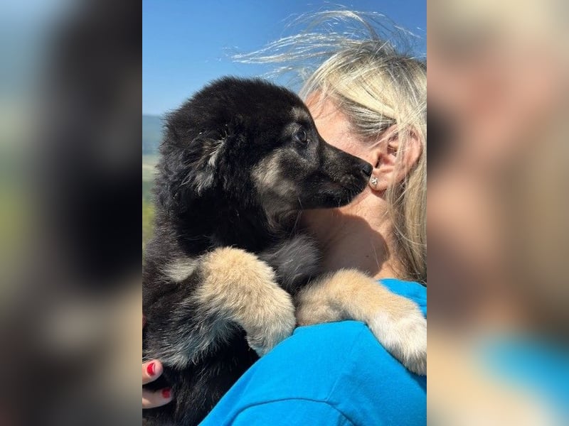 Lolly & Blue – Schwester und Bruder suchen ihr Glück
