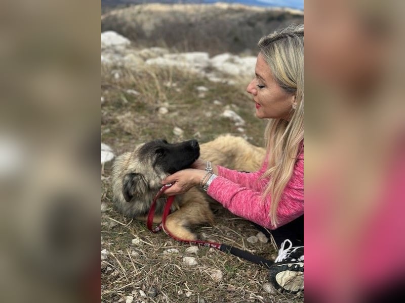 Bridget sucht das Glück