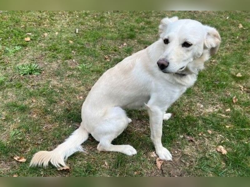 Miranda - Familie fürs Leben gesucht (82041 Deisenhofen)