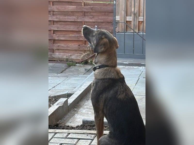 Kassandra – vorsichtige Schönheit sucht ihren Herzensmenschen (41065 Mönchengladbach)