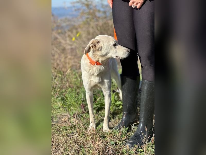 Miranda - Familie fürs Leben gesucht (82041 Deisenhofen)