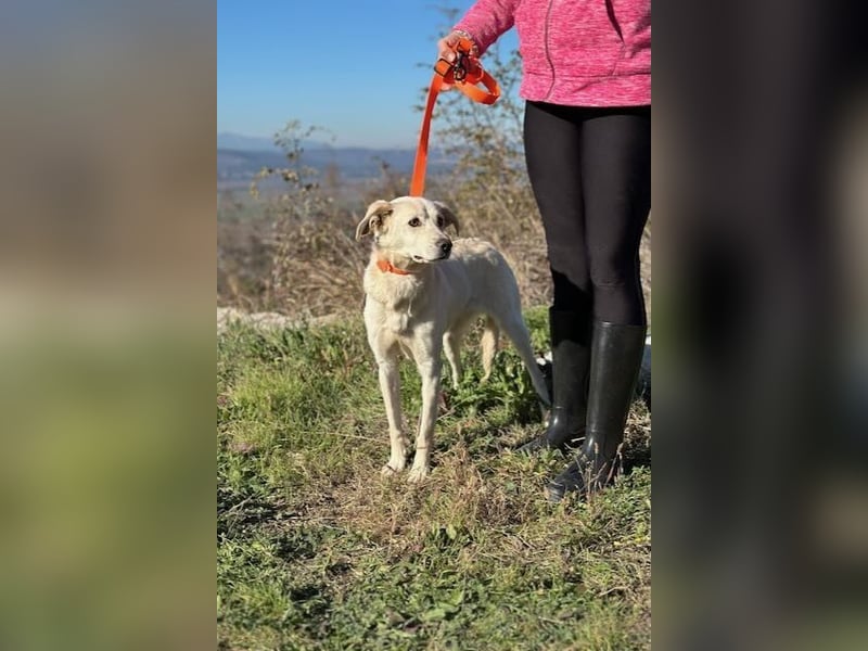 Miranda - Familie fürs Leben gesucht (82041 Deisenhofen)