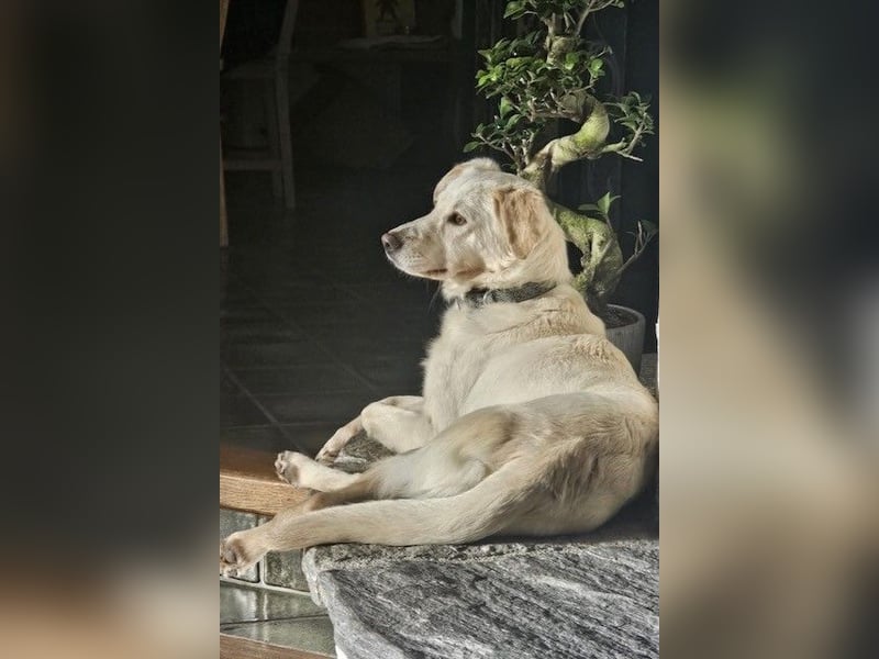 Miranda - Familie fürs Leben gesucht (82041 Deisenhofen)