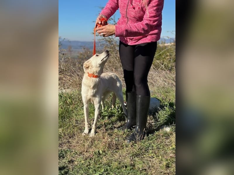 Miranda - Familie fürs Leben gesucht (82041 Deisenhofen)