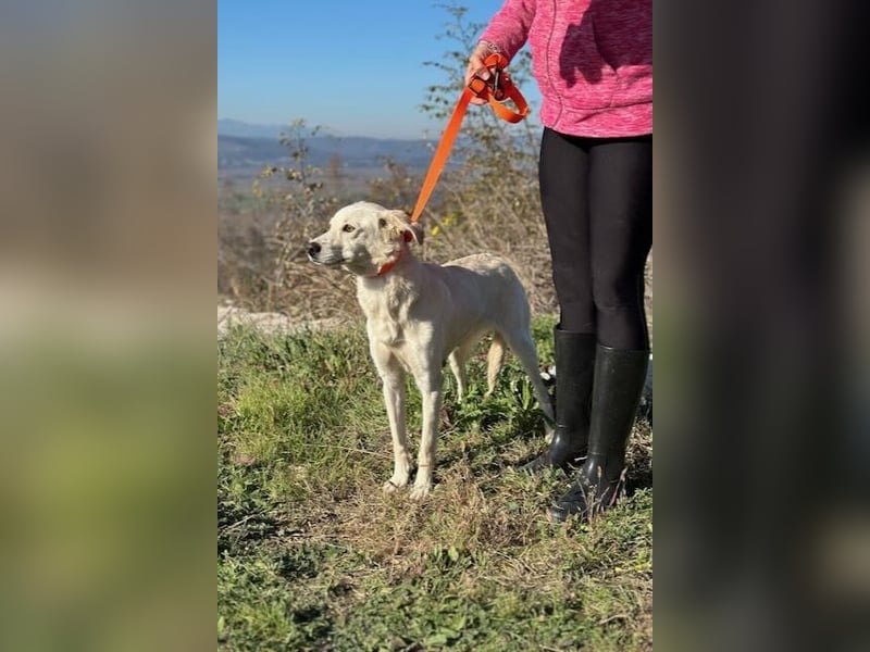 Miranda - Familie fürs Leben gesucht (82041 Deisenhofen)