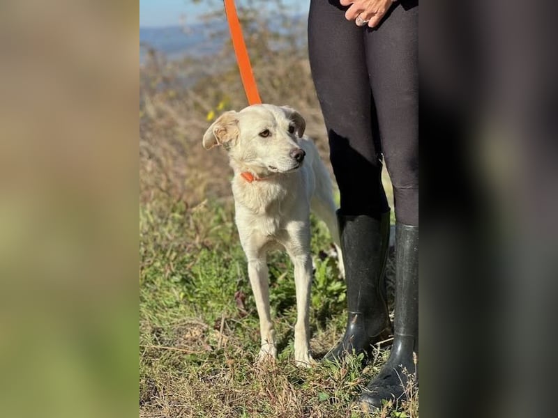 Miranda - Familie fürs Leben gesucht (82041 Deisenhofen)