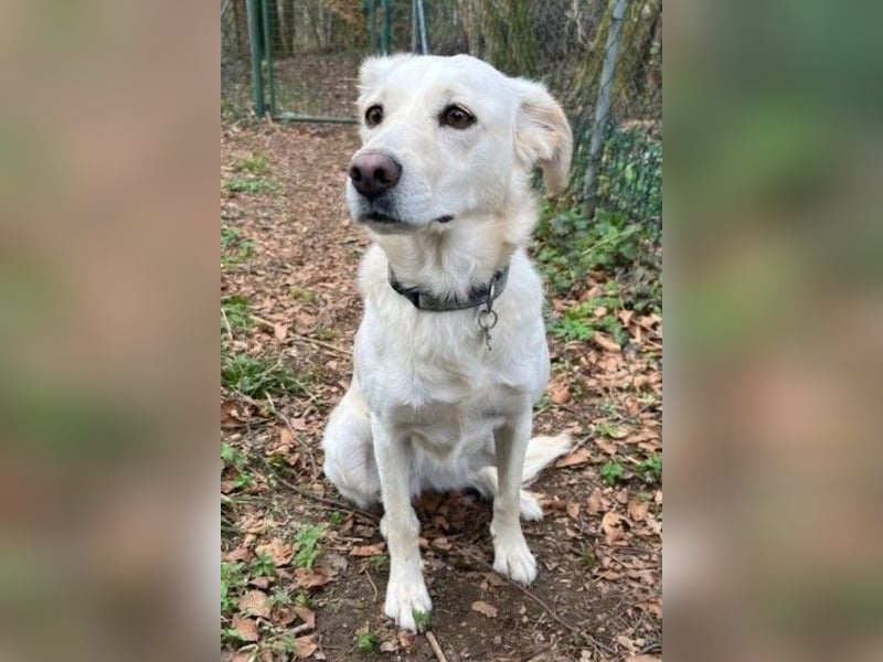 Miranda - Familie fürs Leben gesucht (82041 Deisenhofen)
