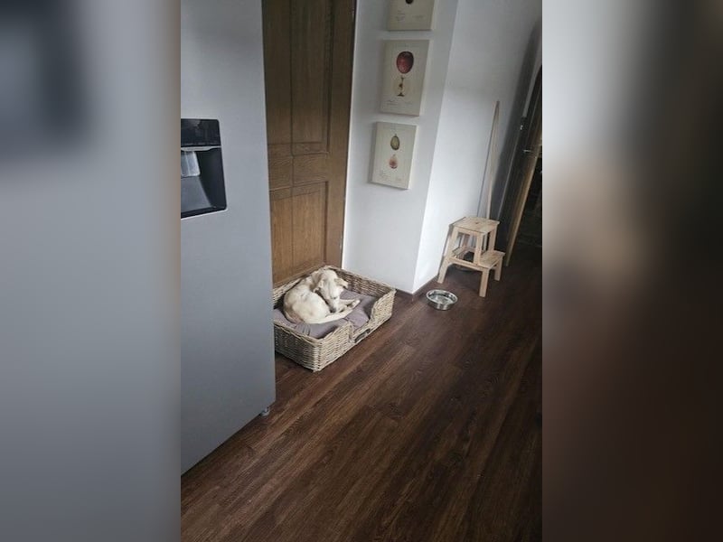 Miranda - Familie fürs Leben gesucht (82041 Deisenhofen)