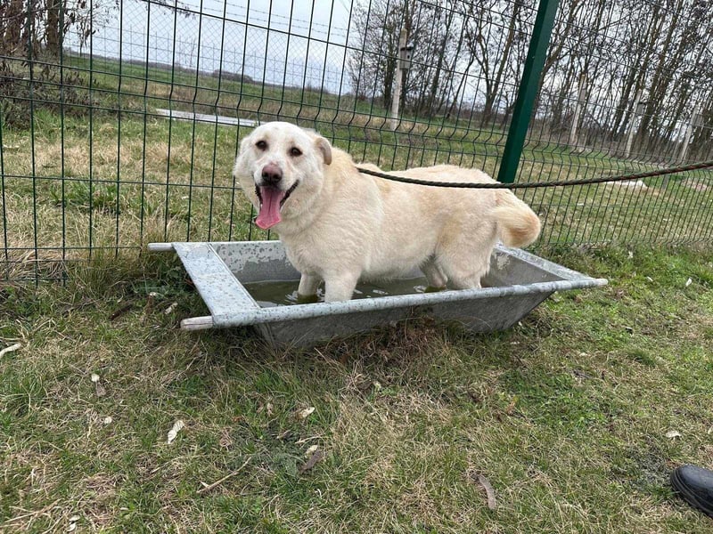 Fibi, geboren 01.06.2021, 50cm sucht ihr Körbchen