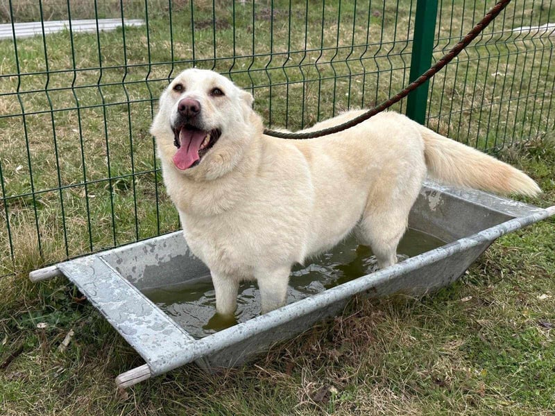 Fibi, geboren 01.06.2021, 50cm sucht ihr Körbchen