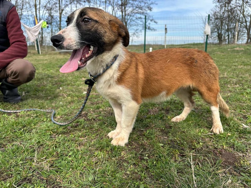 Cherry, geboren 25.06.2024, 36cm sucht ihr Glück