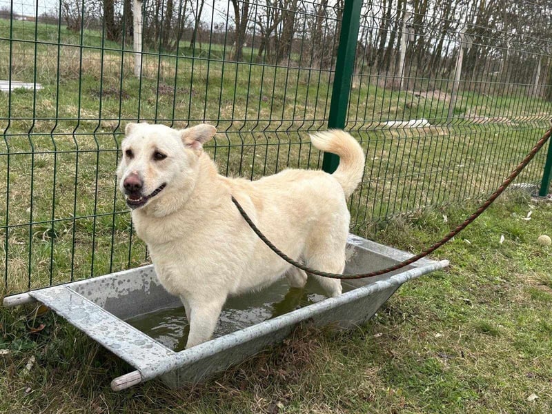 Fibi, geboren 01.06.2021, 50cm sucht ihr Körbchen