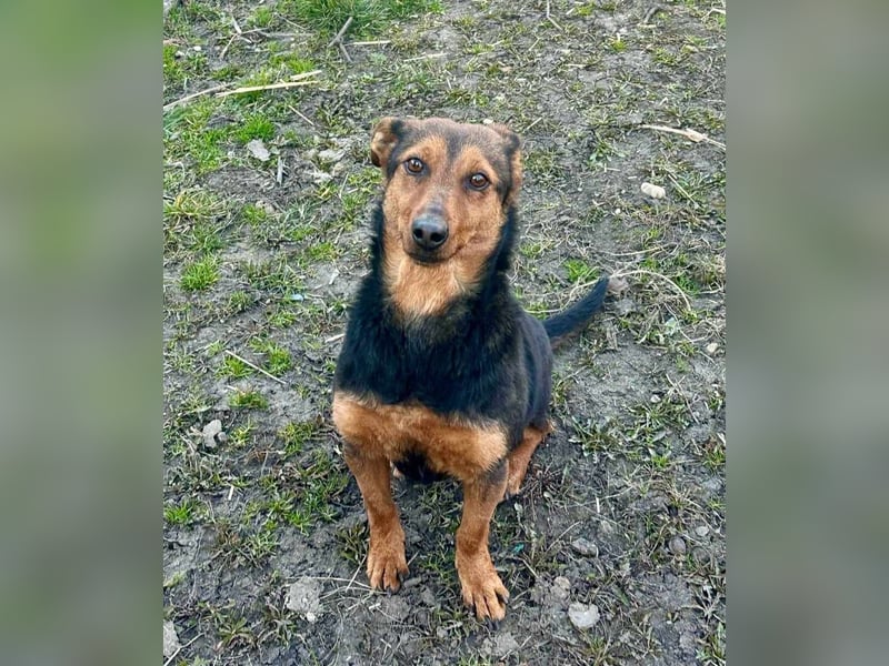 Frida, 10.05.2019 geboren, 31 cm sucht ihre Menschen
