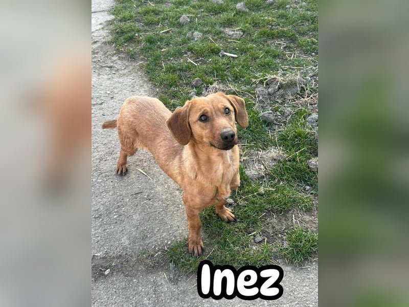 Inez, 22.01.2024 geboren sucht ihr Glück