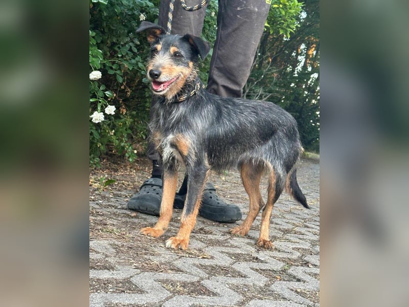 Mokuska, geb. 01.06.2021, 40 cm, wünscht sich eine tolle Familie