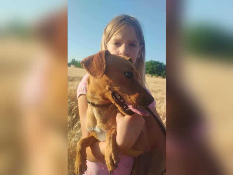 Daisy, geboren 01.01.2025, 37cm sucht ihre Chance