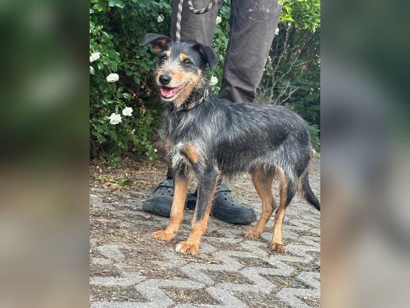 Mokuska, geb. 01.06.2021, 40 cm, wünscht sich eine tolle Familie