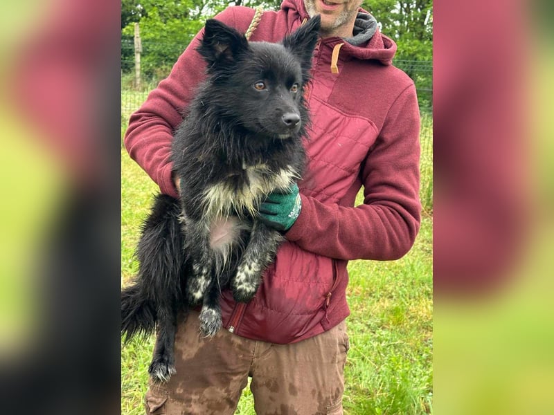 Zoya, geboren 25.09.2024, 40cm sucht ihr Zuhause