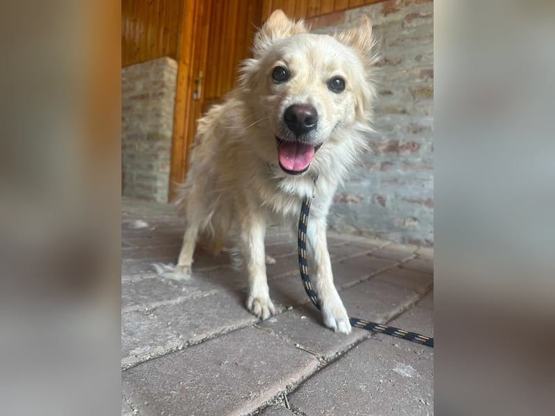 Jazmin, geboren 28.05.2024, 40cm sucht ihre Leute
