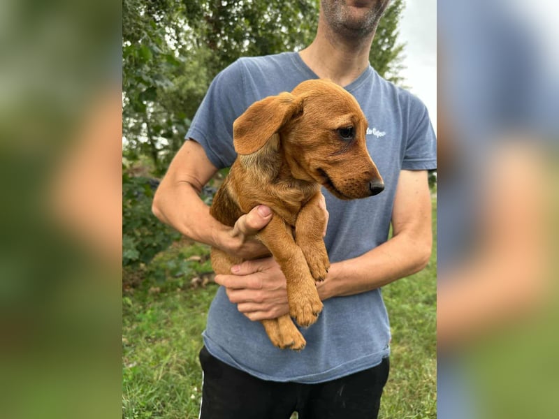 Sari, geboren 02.07.2025 sucht ihre Chance