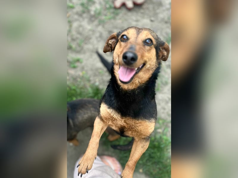 Frida, 10.05.2019 geboren, 31 cm sucht ihre Menschen