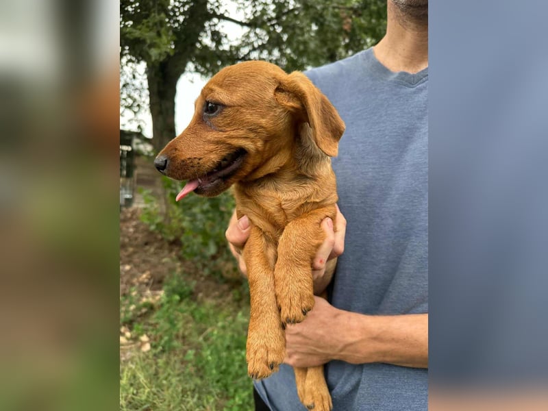 Sari, geboren 02.07.2025 sucht ihre Chance