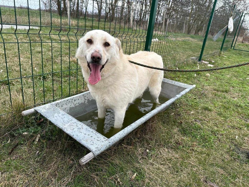 Fibi, geboren 01.06.2021, 50cm sucht ihr Körbchen