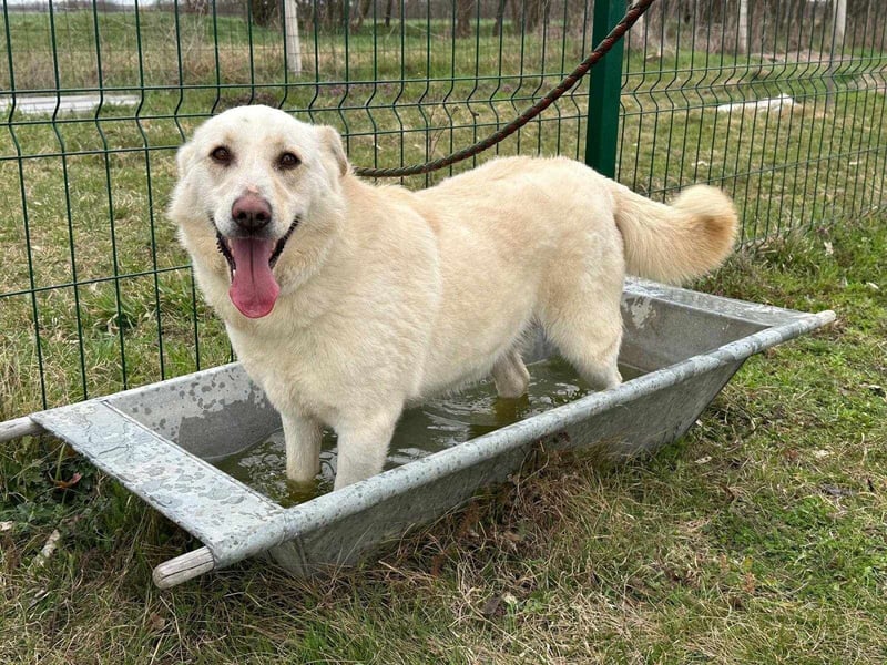 Fibi, geboren 01.06.2021, 50cm sucht ihr Körbchen