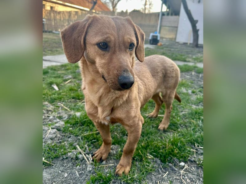 Inez, 22.01.2024 geboren sucht ihr Glück