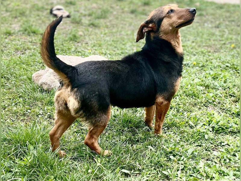 Frida, 10.05.2019 geboren, 31 cm sucht ihre Menschen