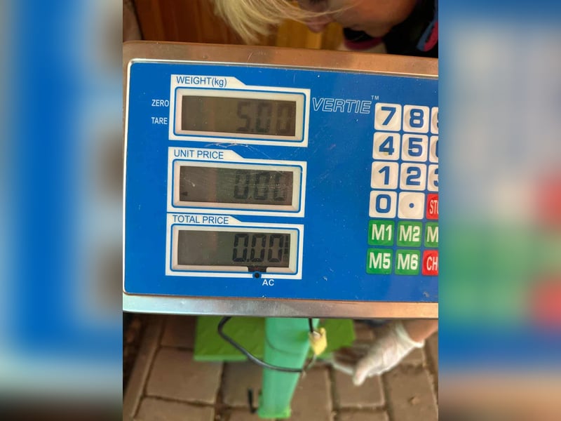 Milla, geboren 25.03.2025, 29cm sucht ihre Menschen