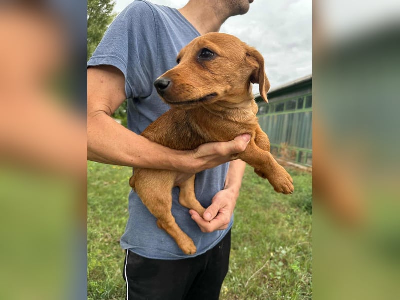 Sari, geboren 02.07.2025 sucht ihre Chance