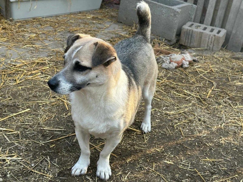 Izisz, geb. 05.01.2023, 42 cm, sucht ihre Familie