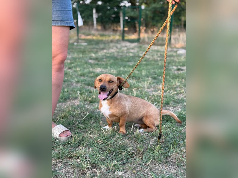 Serafina, geboren 31.10.2024, 30cm sucht ihre Chance