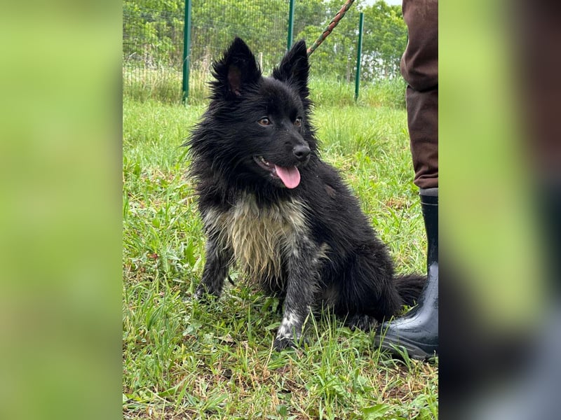 Zoya, geboren 25.09.2024, 40cm sucht ihr Zuhause