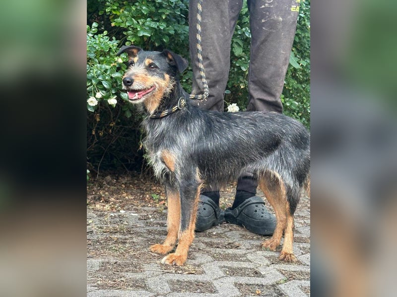 Mokuska, geb. 01.06.2021, 40 cm, wünscht sich eine tolle Familie