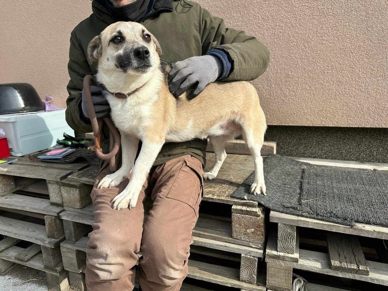 Izisz, geb. 05.01.2023, 42 cm, sucht ihre Familie
