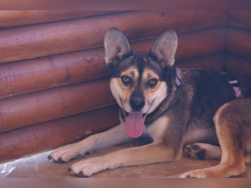 Cora