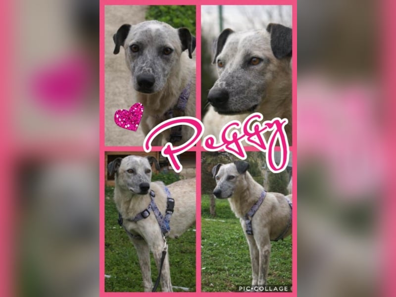 Hübsche Peggy in Not!