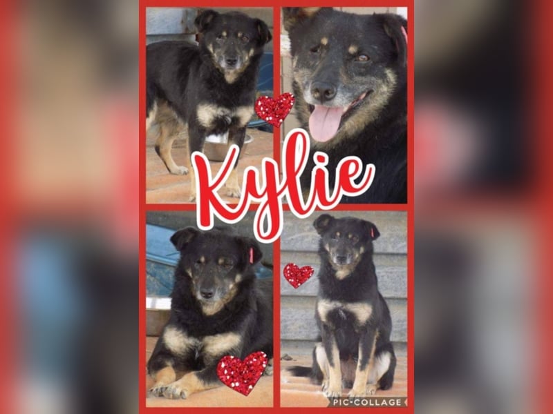 Kylie wartet aufs Wunder!