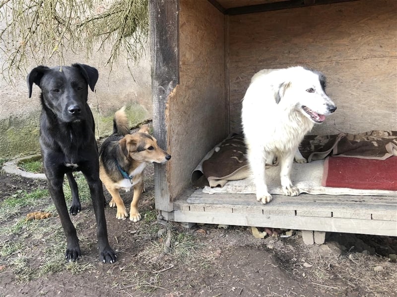 Schöne XENA