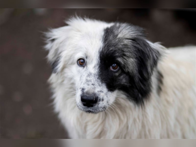 Schöne XENA