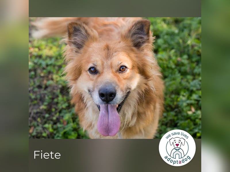 Fiete: Verwandlung durch Verständnis