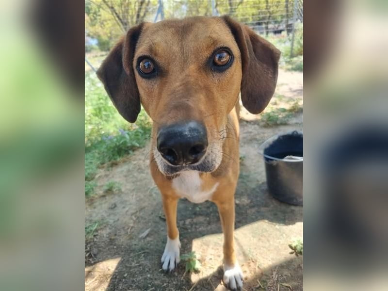 Süsse Sandy sucht dich!