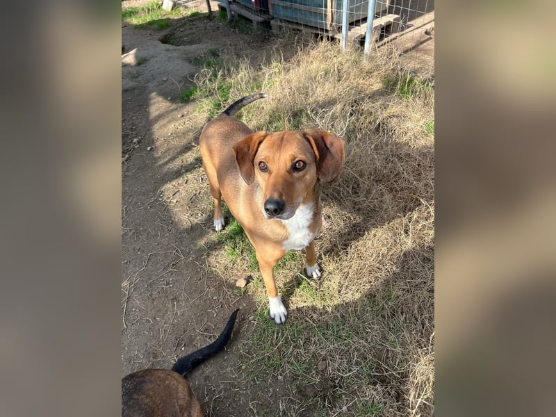 Süsse Sandy sucht dich!
