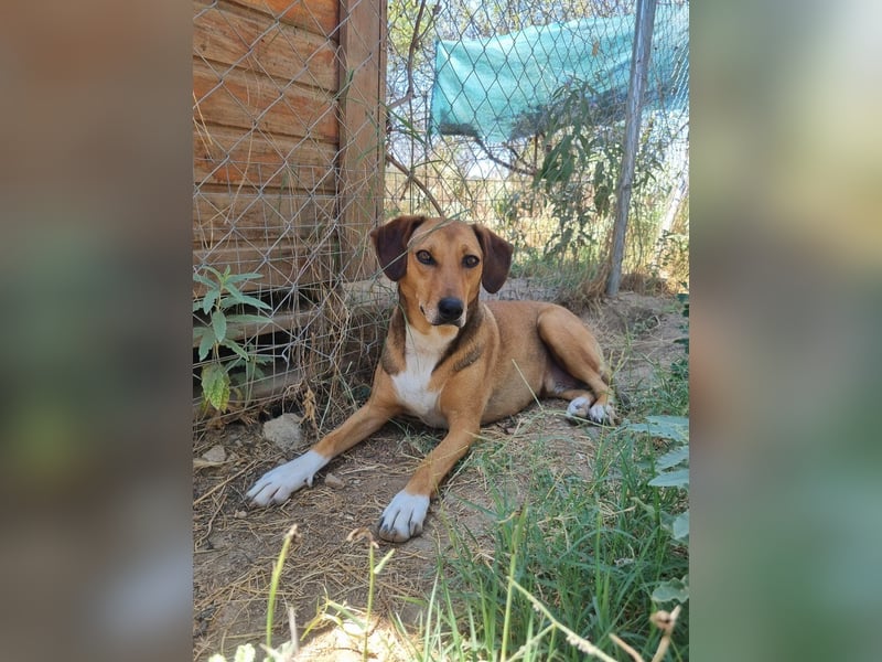 Süsse Sandy sucht dich!