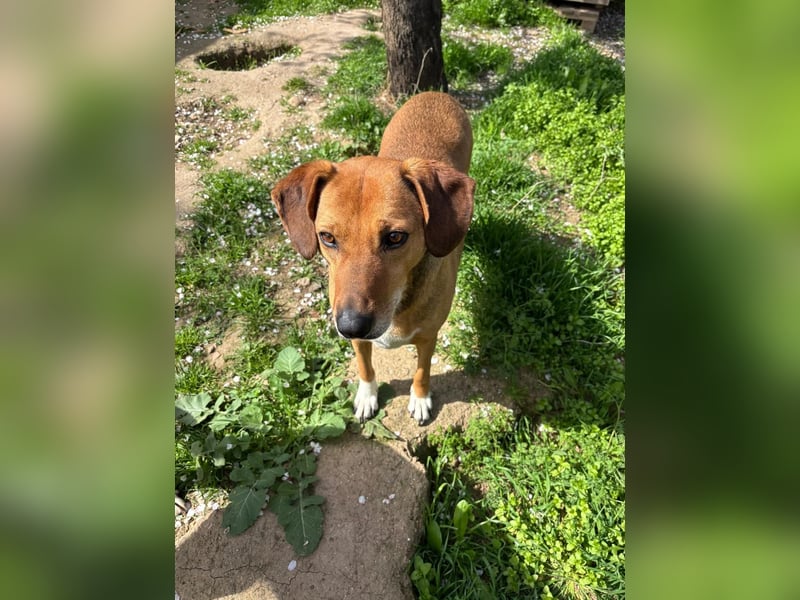 Süsse Sandy sucht dich!