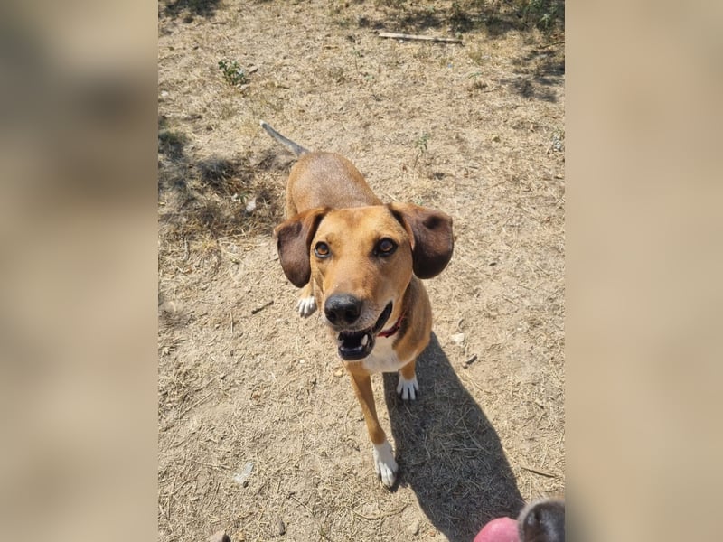 Süsse Sandy sucht dich!