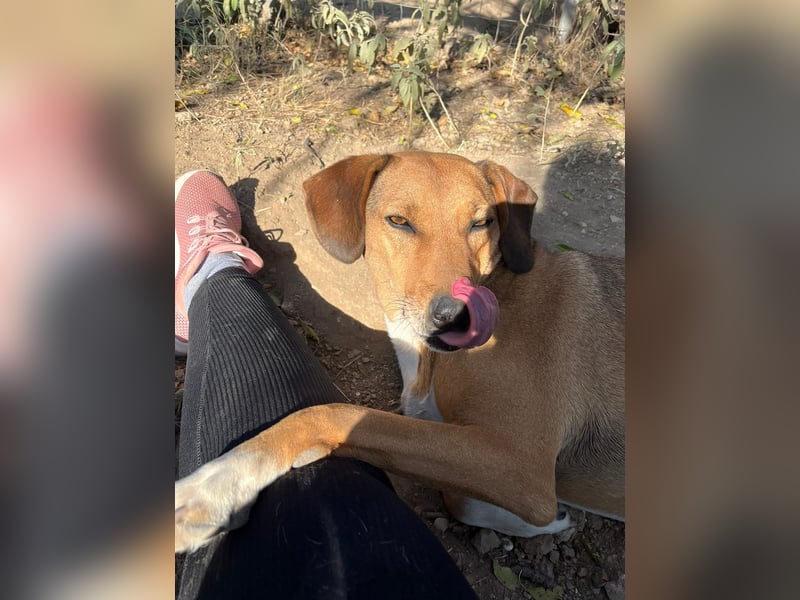 Süsse Sandy sucht dich!