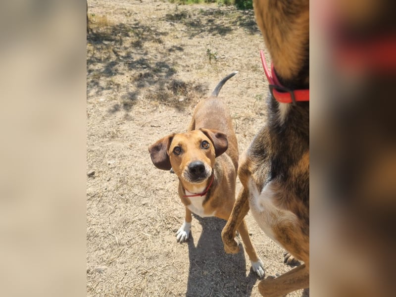 Süsse Sandy sucht dich!